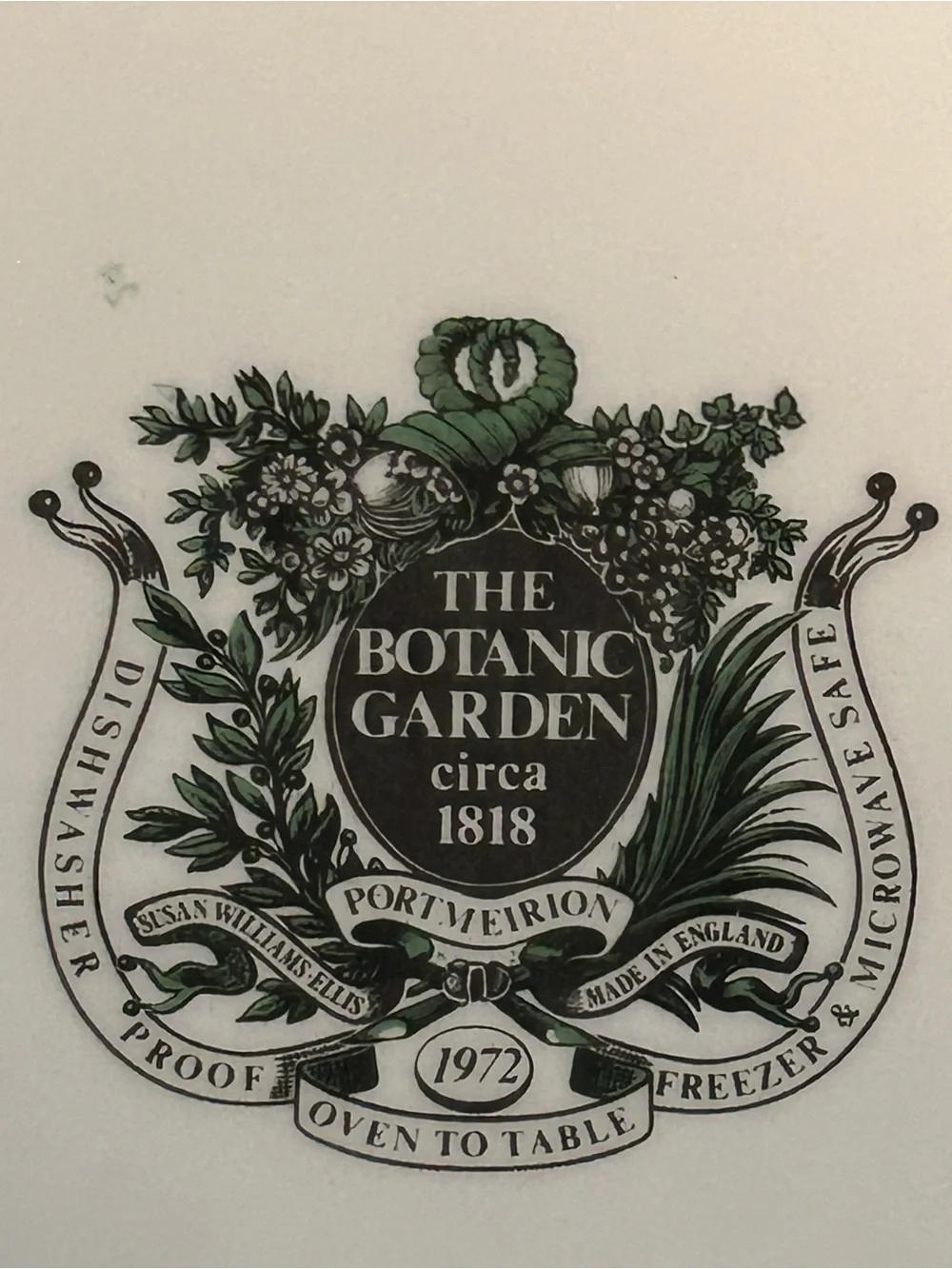 PORTMEIRION BOTANIC GARDEN 10.5” Christmas Rose Dinner Plate Butterflies 1972